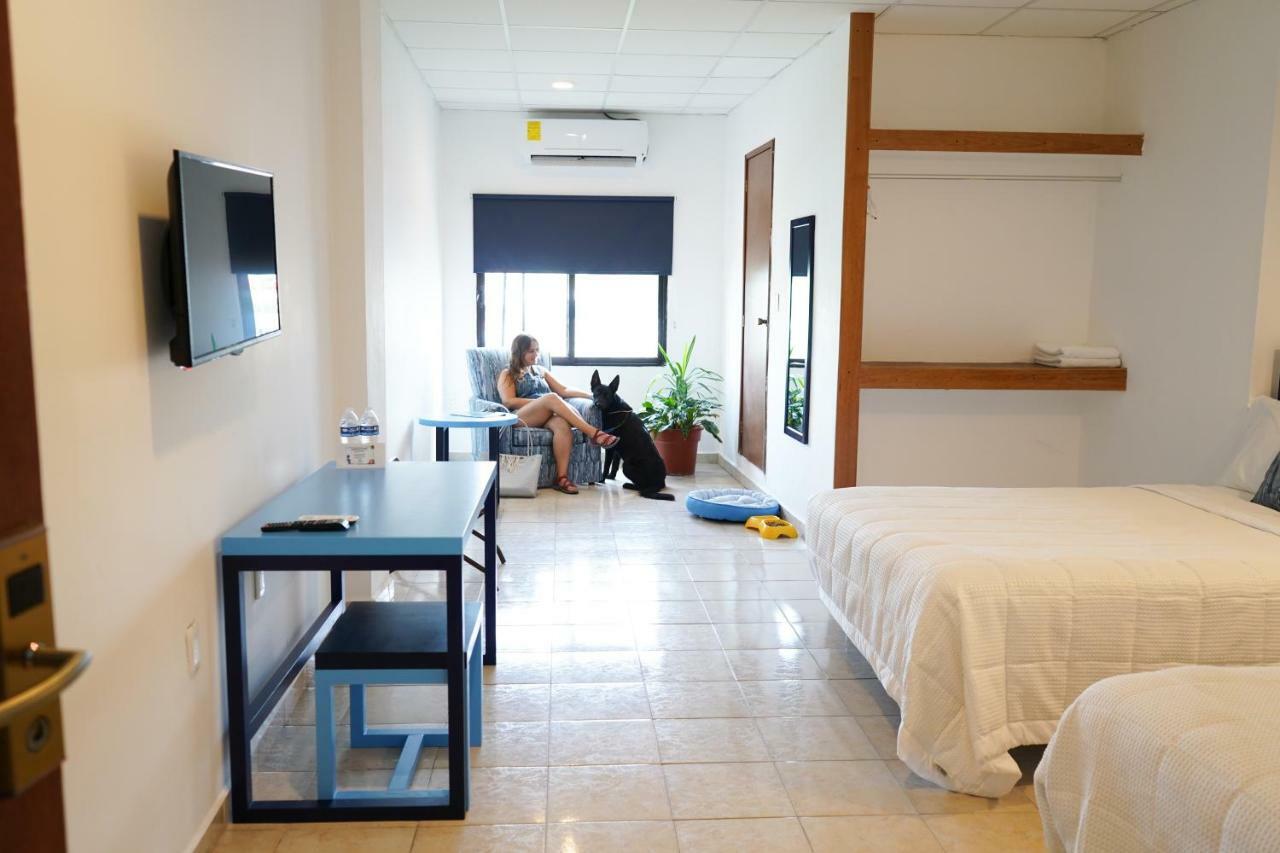 Hotel & Suites Arges - Centro เชตุมัล ภายนอก รูปภาพ
