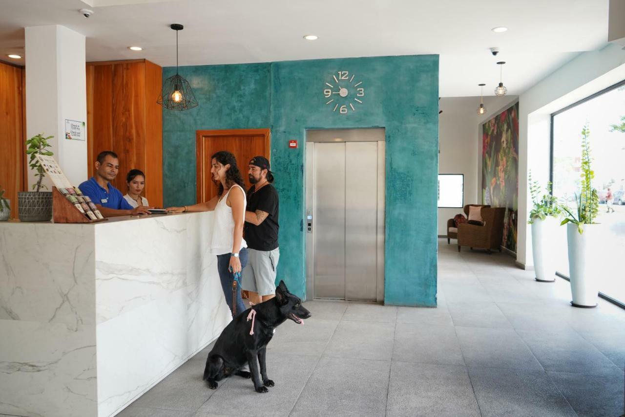 Hotel & Suites Arges - Centro เชตุมัล ภายนอก รูปภาพ