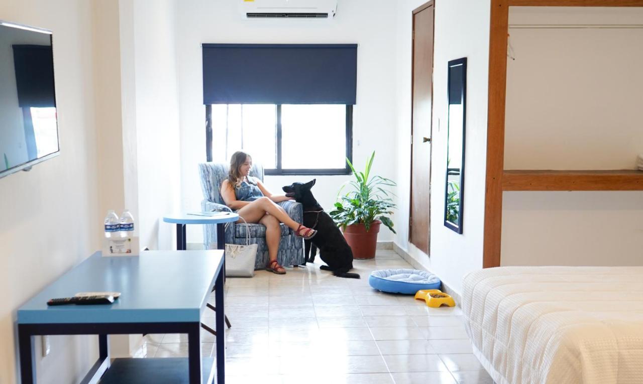 Hotel & Suites Arges - Centro เชตุมัล ภายนอก รูปภาพ
